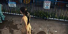 Elena Anaya nude in a poll and poolside in Jett Elena Anaya nude in a poll and poolside in Jett